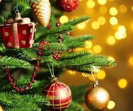 Christmas in Colchester 2025 28 Oct