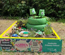 Gosbecks Primary Professional Services