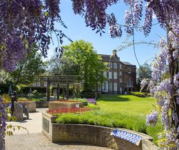 Hollytrees Museum See & Do