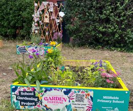 Millfields Primary Professional Services