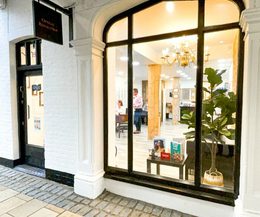 Optical Revolution Professional Services