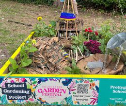 Prettygate schools Professional Services