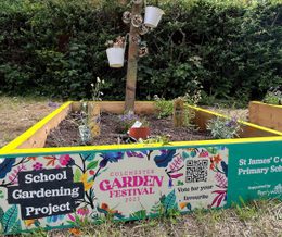 St. James CofE Primary Professional Services