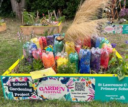 St Lawrence Church Of England Primary School Professional Services