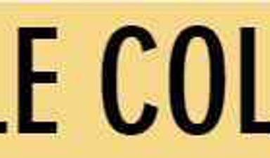 Textile Collective Shopping