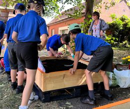 Best School Garden HEAD